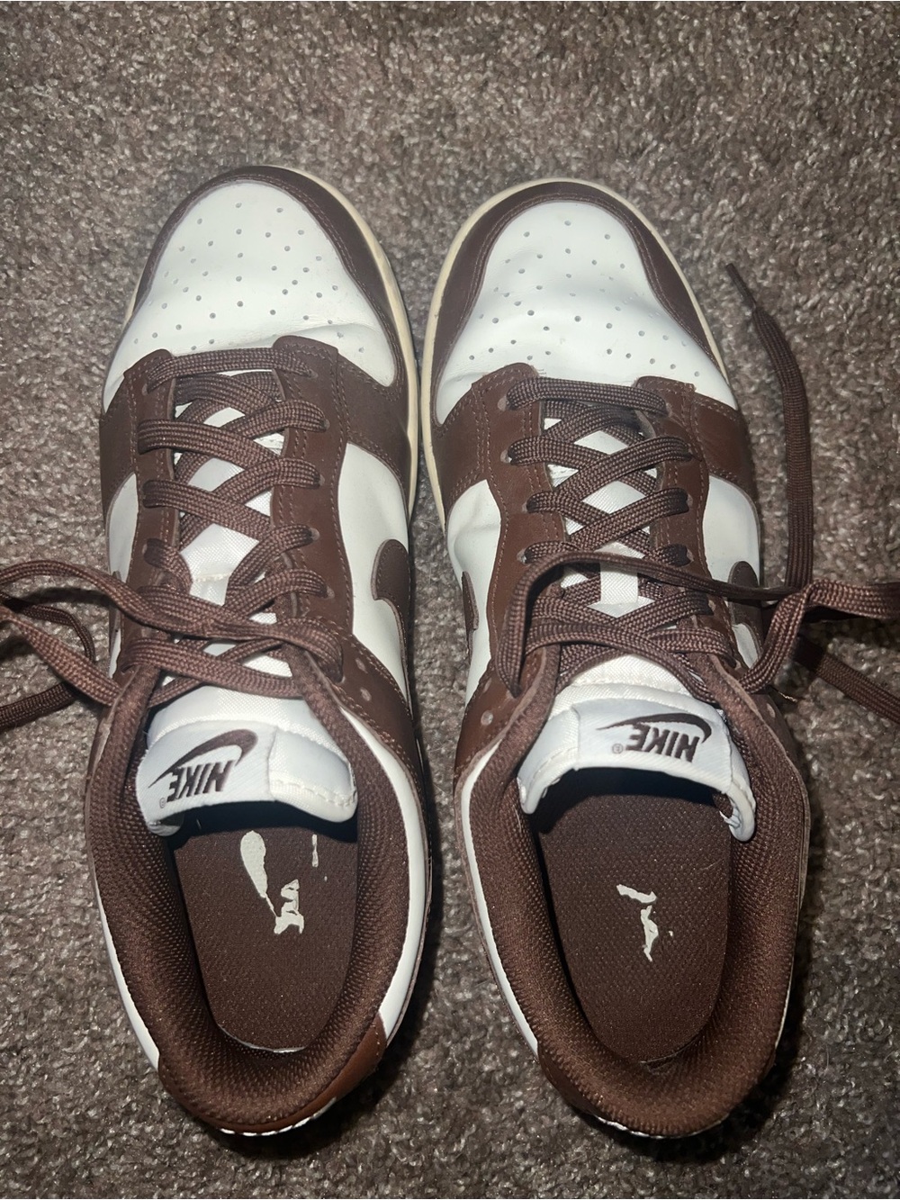 Nike Brown Low Dunks